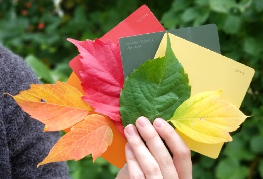 Ricciardi Brothers: At Home Magazine Fall 2019