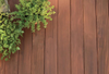 Using a Wood Wash Annually: Ricciardi Brothers' Guide to Preserving Your Deck's Benjamin Moore Wood Stain