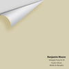 Digital color swatch of Benjamin Moore's Abingdon Putty HC-99 Peel & Stick Sample available at Ricciardi BRothers in PA, DE, & NJ.