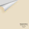 Digital color swatch of Benjamin Moore's Barely Beige 1066 Peel & Stick Sample available at Ricciardi BRothers in PA, DE, & NJ.