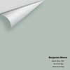 Digital color swatch of Benjamin Moore's Beach Glass 1564 Peel & Stick Sample available at Ricciardi BRothers in PA, DE, & NJ.