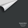 Digital color swatch of Benjamin Moore's Black Knight (2136-10) Peel & Stick Sample available at Ricciardi BRothers in PA, DE, & NJ.