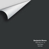 Digital color swatch of Benjamin Moore's Black Satin (2131-10) Peel & Stick Sample available at Ricciardi BRothers in PA, DE, & NJ.