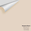 Digital color swatch of Benjamin Moore's Brandy Cream CC-60 Peel & Stick Sample available at Ricciardi BRothers in PA, DE, & NJ.