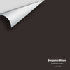 Digital color swatch of Benjamin Moore's Bucktrout Brown CW-180 Peel & Stick Sample available at Ricciardi BRothers in PA, DE, & NJ.