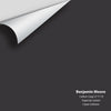 Digital color swatch of Benjamin Moore's Carbon Copy (2117-10) Peel & Stick Sample available at Ricciardi BRothers in PA, DE, & NJ.