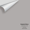 Digital color swatch of Benjamin Moore's Cement Gray 2112-60 Peel & Stick Sample available at Ricciardi BRothers in PA, DE, & NJ.