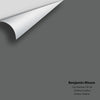 Digital color swatch of Benjamin Moore's City Shadow CSP-60 Peel & Stick Sample available at Ricciardi BRothers in PA, DE, & NJ.