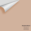 Digital color swatch of Benjamin Moore's Deer Field 1159 Peel & Stick Sample available at Ricciardi BRothers in PA, DE, & NJ.