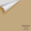 Digital color swatch of Benjamin Moore's Deer Path 1047 Peel & Stick Sample available at Ricciardi BRothers in PA, DE, & NJ.