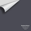 Digital color swatch of Benjamin Moore's Ebony Slate 2118-30 Peel & Stick Sample available at Ricciardi BRothers in PA, DE, & NJ.