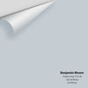 Digital color swatch of Benjamin Moore's Feather Gray 2127-60 Peel & Stick Sample available at Ricciardi BRothers in PA, DE, & NJ.