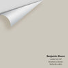 Digital color swatch of Benjamin Moore's London Fog 1541 Peel & Stick Sample available at Ricciardi BRothers in PA, DE, & NJ.