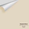 Digital color swatch of Benjamin Moore's Muslin OC-12 Peel & Stick Sample available at Ricciardi BRothers in PA, DE, & NJ.