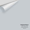 Digital color swatch of Benjamin Moore's Silver Lining 2119-60 Peel & Stick Sample available at Ricciardi BRothers in PA, DE, & NJ.