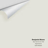 Digital color swatch of Benjamin Moore's Silver Satin 856 Peel & Stick Sample available at Ricciardi BRothers in PA, DE, & NJ.