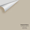 Digital color swatch of Benjamin Moore's Stone Hearth 984 Peel & Stick Sample available at Ricciardi BRothers in PA, DE, & NJ.