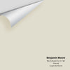 Digital color swatch of Benjamin Moore's Wind's Breath 981 Peel & Stick Sample available at Ricciardi BRothers in PA, DE, & NJ.