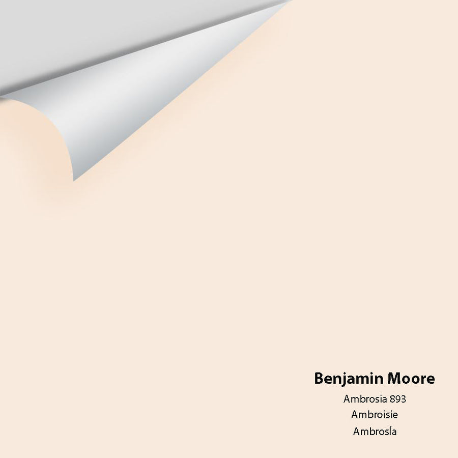 Digital color swatch of Benjamin Moore's Ambrosia 893 Peel & Stick Sample available at Ricciardi BRothers in PA, DE, & NJ.
