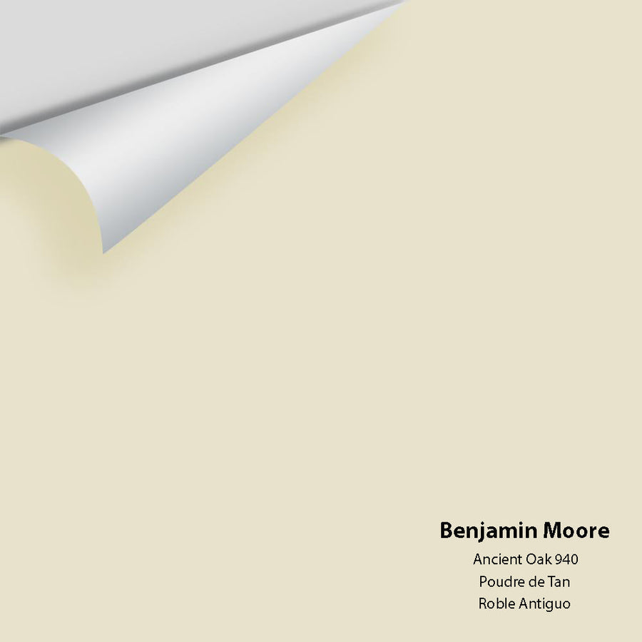 Digital color swatch of Benjamin Moore's Ancient Oak 940 Peel & Stick Sample available at Ricciardi BRothers in PA, DE, & NJ.