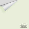 Digital color swatch of Benjamin Moore's Appalachian Green 852 Peel & Stick Sample available at Ricciardi BRothers in PA, DE, & NJ.