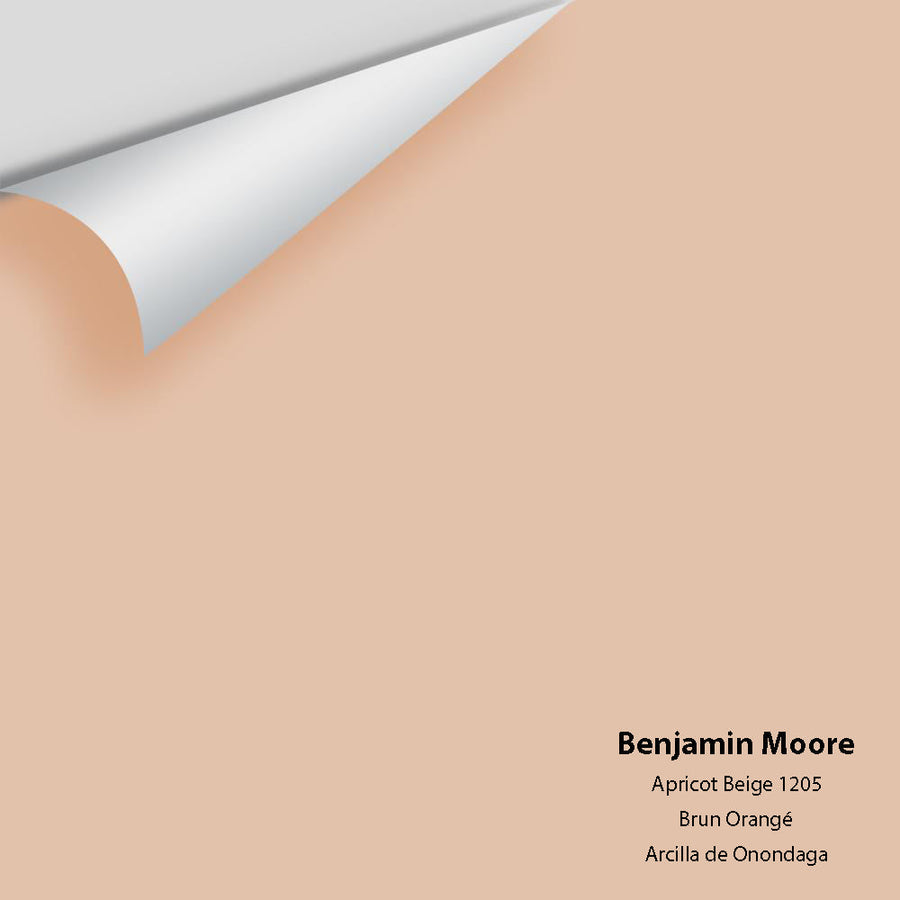 Digital color swatch of Benjamin Moore's Apricot Beige 1205 Peel & Stick Sample available at Ricciardi BRothers in PA, DE, & NJ.