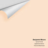 Digital color swatch of Benjamin Moore's Apricot Tint 86 Peel & Stick Sample available at Ricciardi BRothers in PA, DE, & NJ.