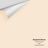 Digital color swatch of Benjamin Moore's Arizona Peach 92 Peel & Stick Sample available at Ricciardi BRothers in PA, DE, & NJ.