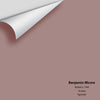 Digital color swatch of Benjamin Moore's Barberry 1244 Peel & Stick Sample available at Ricciardi BRothers in PA, DE, & NJ.