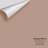 Digital color swatch of Benjamin Moore's Baywood Brown 1234 Peel & Stick Sample available at Ricciardi BRothers in PA, DE, & NJ.