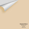 Digital color swatch of Benjamin Moore's Blond Wood 1067 Peel & Stick Sample available at Ricciardi BRothers in PA, DE, & NJ.