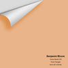 Digital color swatch of Benjamin Moore's Canyonlands 109 Peel & Stick Sample available at Ricciardi BRothers in PA, DE, & NJ.