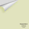 Digital color swatch of Benjamin Moore's Chameleon 526 Peel & Stick Sample available at Ricciardi BRothers in PA, DE, & NJ.