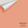 Digital color swatch of Benjamin Moore's Coral Glow 26 Peel & Stick Sample available at Ricciardi BRothers in PA, DE, & NJ.