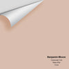 Digital color swatch of Benjamin Moore's Crossroads 1226 Peel & Stick Sample available at Ricciardi BRothers in PA, DE, & NJ.