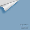 Digital color swatch of Benjamin Moore's Five Dollar Bill CC-812 Peel & Stick Sample available at Ricciardi BRothers in PA, DE, & NJ.