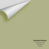 Digital color swatch of Benjamin Moore's Grasslands 502 Peel & Stick Sample available at Ricciardi BRothers in PA, DE, & NJ.