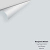 Digital color swatch of Benjamin Moore's Gray Cloud 2126-60 Peel & Stick Sample available at Ricciardi BRothers in PA, DE, & NJ.