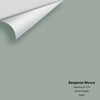 Digital color swatch of Benjamin Moore's Greyhound 1579 Peel & Stick Sample available at Ricciardi BRothers in PA, DE, & NJ.