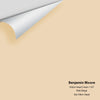 Digital color swatch of Benjamin Moore's Hilton Head Cream 1107 Peel & Stick Sample available at Ricciardi BRothers in PA, DE, & NJ.