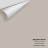 Digital color swatch of Benjamin Moore's Himalayan Trek 1542 Peel & Stick Sample available at Ricciardi BRothers in PA, DE, & NJ.