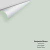 Digital color swatch of Benjamin Moore's Icy Morn 457 Peel & Stick Sample available at Ricciardi BRothers in PA, DE, & NJ.