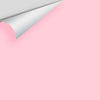 Digital color swatch of Benjamin Moore's Light Chiffon Pink 2000-60 Peel & Stick Sample available at Ricciardi BRothers in PA, DE, & NJ.