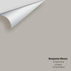 Digital color swatch of Benjamin Moore's La Paloma Gray 1551 Peel & Stick Sample available at Ricciardi BRothers in PA, DE, & NJ.