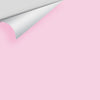 Digital color swatch of Benjamin Moore's Newborn Pink 2078-60 Peel & Stick Sample available at Ricciardi BRothers in PA, DE, & NJ.