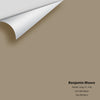 Digital color swatch of Benjamin Moore's Nordic Gray CC-576 Peel & Stick Sample available at Ricciardi BRothers in PA, DE, & NJ.