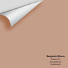 Digital color swatch of Benjamin Moore's Nutmeg 1227 Peel & Stick Sample available at Ricciardi BRothers in PA, DE, & NJ.