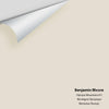 Digital color swatch of Benjamin Moore's Olympic Mountains 971 Peel & Stick Sample available at Ricciardi BRothers in PA, DE, & NJ.