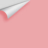 Digital color swatch of Benjamin Moore's Pink Punch 2006-50 Peel & Stick Sample available at Ricciardi BRothers in PA, DE, & NJ.