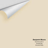 Digital color swatch of Benjamin Moore's Pale Almond 951 Peel & Stick Sample available at Ricciardi BRothers in PA, DE, & NJ.